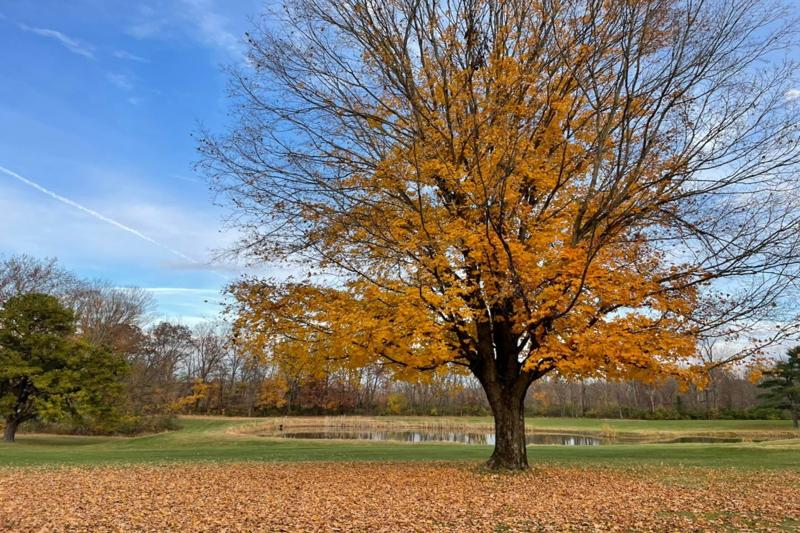 Raccoon Valley Golf Course View